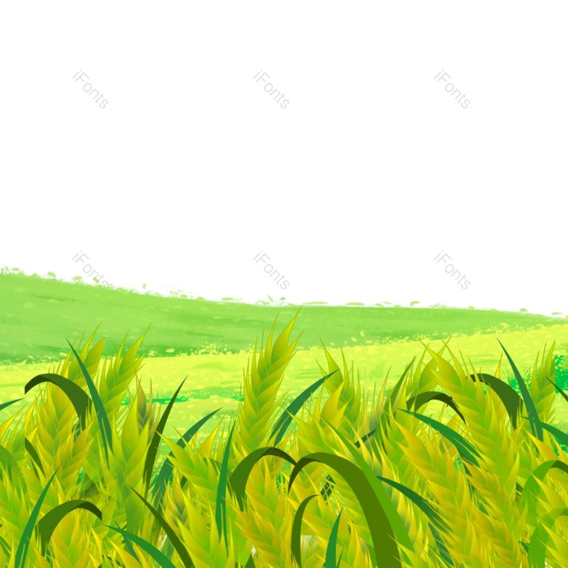 芒种图片,小满元素,麦子PNG,麦田免抠素材